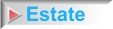 Estate agency