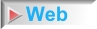 Web Features
